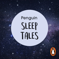 Penguin - Penguin Sleep Tales artwork