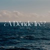 ¿A Dónde Iré? - Single