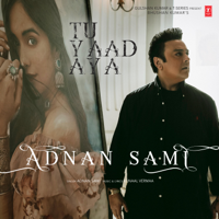 Adnan Sami - Tu Yaad Aya - Single artwork