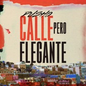 Calle Pero Elegante artwork