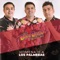 Homenaje a Los Palmeras - Los Bam Band Orquesta lyrics