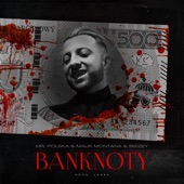 Banknoty artwork