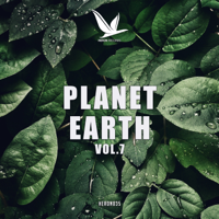Various Artists - Planet Earth, Vol. 7 artwork