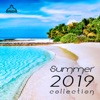 Summer 2019 Collection