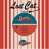 Lost Cat - He's Gone