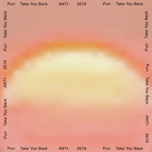 Take You Back - Single