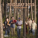 Pine Leaf Boys - Ma petite femme