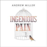 Andrew Miller - Ingenious Pain artwork