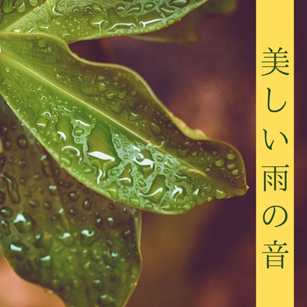 美しい雨の音 2時間 雨の音 大雨の音 雨音 By 雨子供 On Apple Music