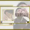 Never Cared Freestyle - Single album lyrics, reviews, download