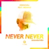 Never Never (Extended Mix) [feat. Indiiana] - Single