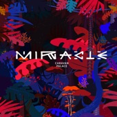 Miracle (Fakear Remix) artwork