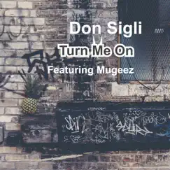 Turn Me On (feat. Mugeez) - Single by Don Sigli album reviews, ratings, credits