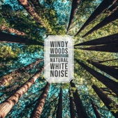 Natural White Noise - Windy Woods Ambience artwork
