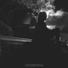 Schizophrenia - Single