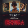 Erima (feat. Davido & Tekno) - Single