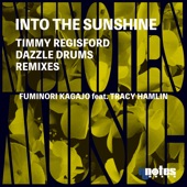 Into the Sunshine (Timmy Regisford Main Remix Instrumental) [feat. Tracy Hamlin] artwork