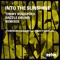 Into the Sunshine (Timmy Regisford Main Remix Instrumental) [feat. Tracy Hamlin] artwork