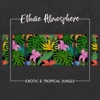 Ethnic Atmosphere: Exotic & Tropical Jungle
