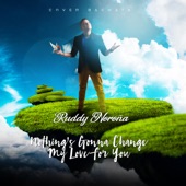 Nothing's Gonna Change My Love for You (Bachata) artwork