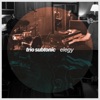 Trio Subtonic - Elegy