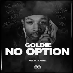 No Option - Single by Goldie album reviews, ratings, credits