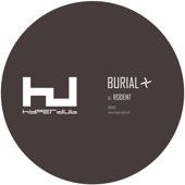 Rodent by Burial