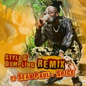 Stylo G - Dumpling (feat. Sean Paul & Spice)