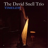 The David Snell Trio - Secret Love (feat. Arthur Watts & John Dean)