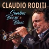 Claudio Roditi - Song for Nana
