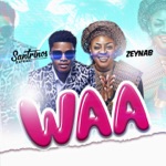 Santrinos Raphael & Zeynab - WAA