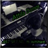Attila Domos - I Wouldn't Want to Be Like You