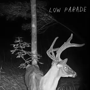 descargar álbum Low Parade - Low Parade
