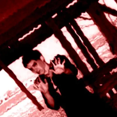 Secret Garden (gin$eng remix) - Single - Hellion