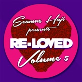 Seamus Haji Presents Re-Loved Volume 5 artwork