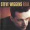 Dreamer - Steve Wiggins lyrics