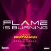 Flame Is Burning (Remixes Part 1) [feat. Sophia Omargi] album lyrics, reviews, download