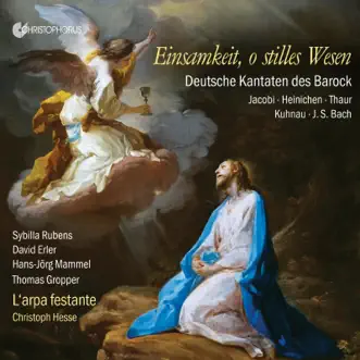 Alles, was von Gott geboren, BWV 80a: No. 1, Alles, was von Gott geboren by Thomas Gropper, L'Arpa Festante & Christoph Hesse song reviws