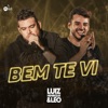 Bem Te Vi - Single