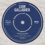 Liam Gallagher - Cast No Shadow (Acoustic)