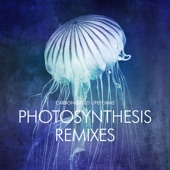 Photosynthesis (Remixes) artwork
