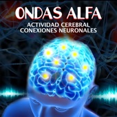 Ondas Alfa Actividad Cerebral y Conexiones Neuronales artwork