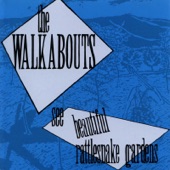 The Walkabouts - John Reilly