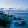 Sleep Meditation and Relaxation album lyrics, reviews, download