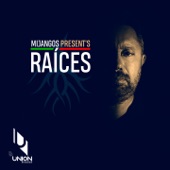 Raíces (DJ Mix) artwork