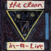 The Clean - Anything Could Happen (Live)