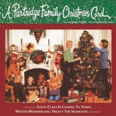 The Partridge Family - My Christmas Card to You