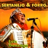 Sertanejo & Forró