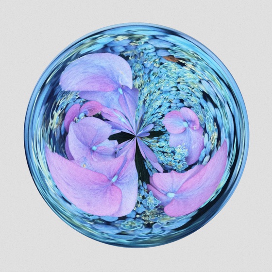 Cover artwork for Cocoon
