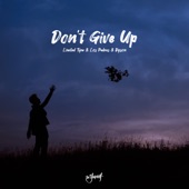 Don't Give Up artwork